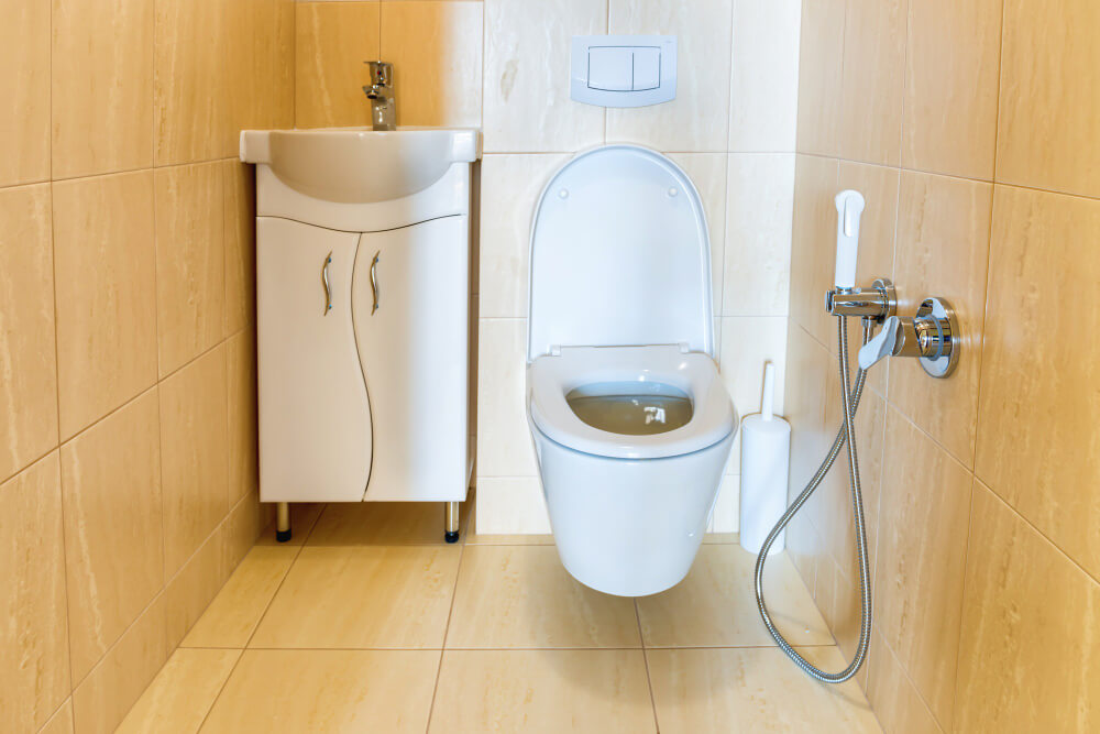 Water Closets & Urinals exporter